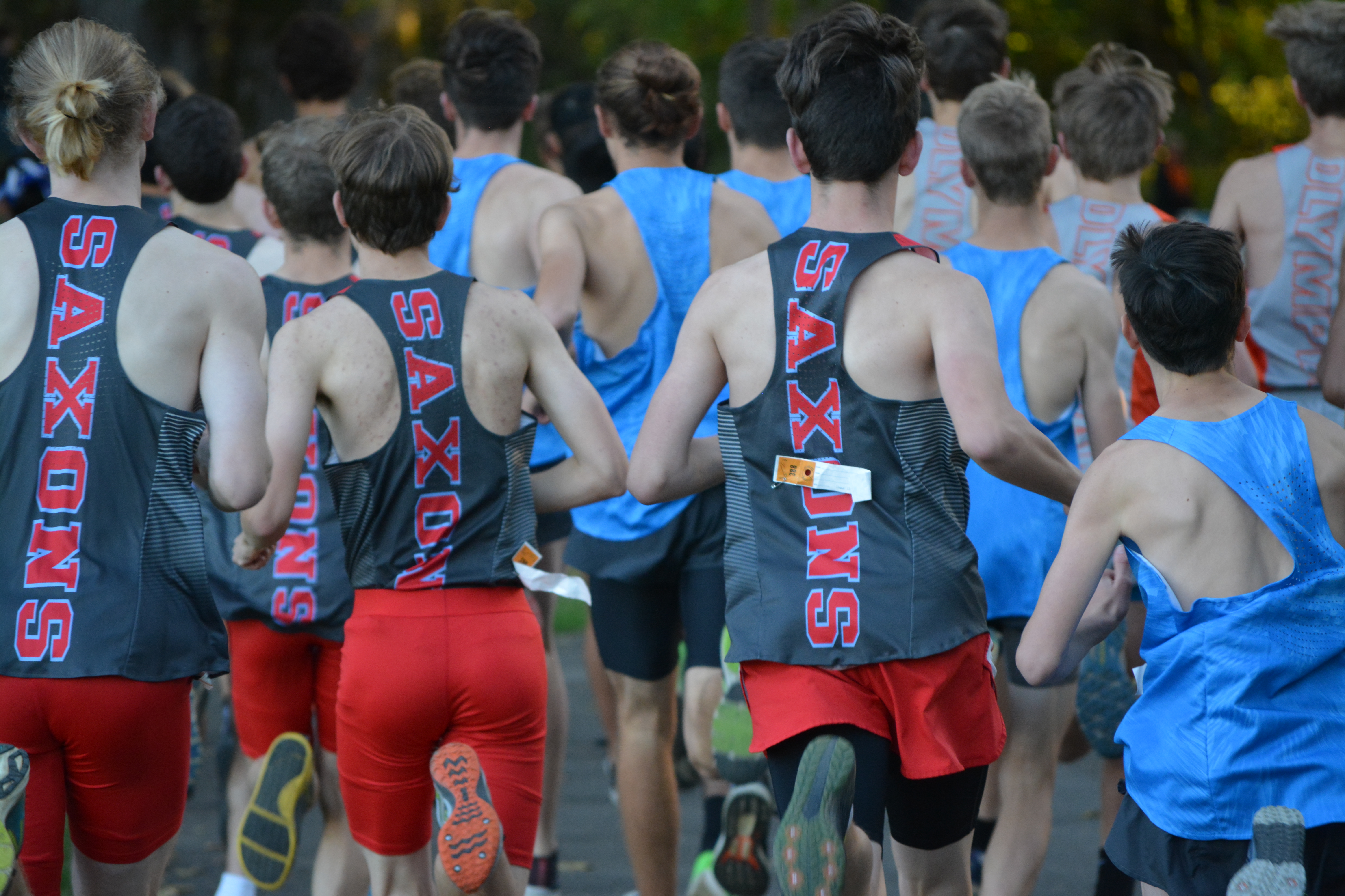 Fall Sports Recap