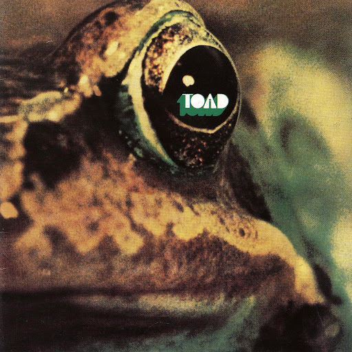 Forgotten Gems of Classic Rock: Toad (1971) - The Clypian
