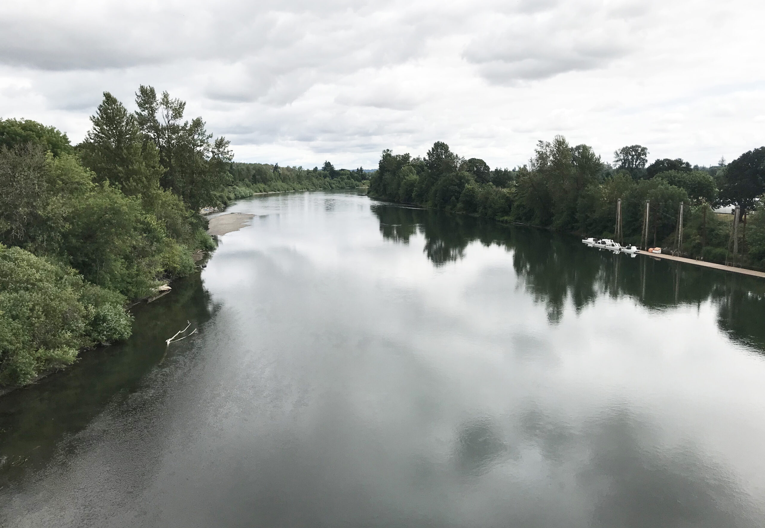 How Water Pollution is Affecting Local Environments