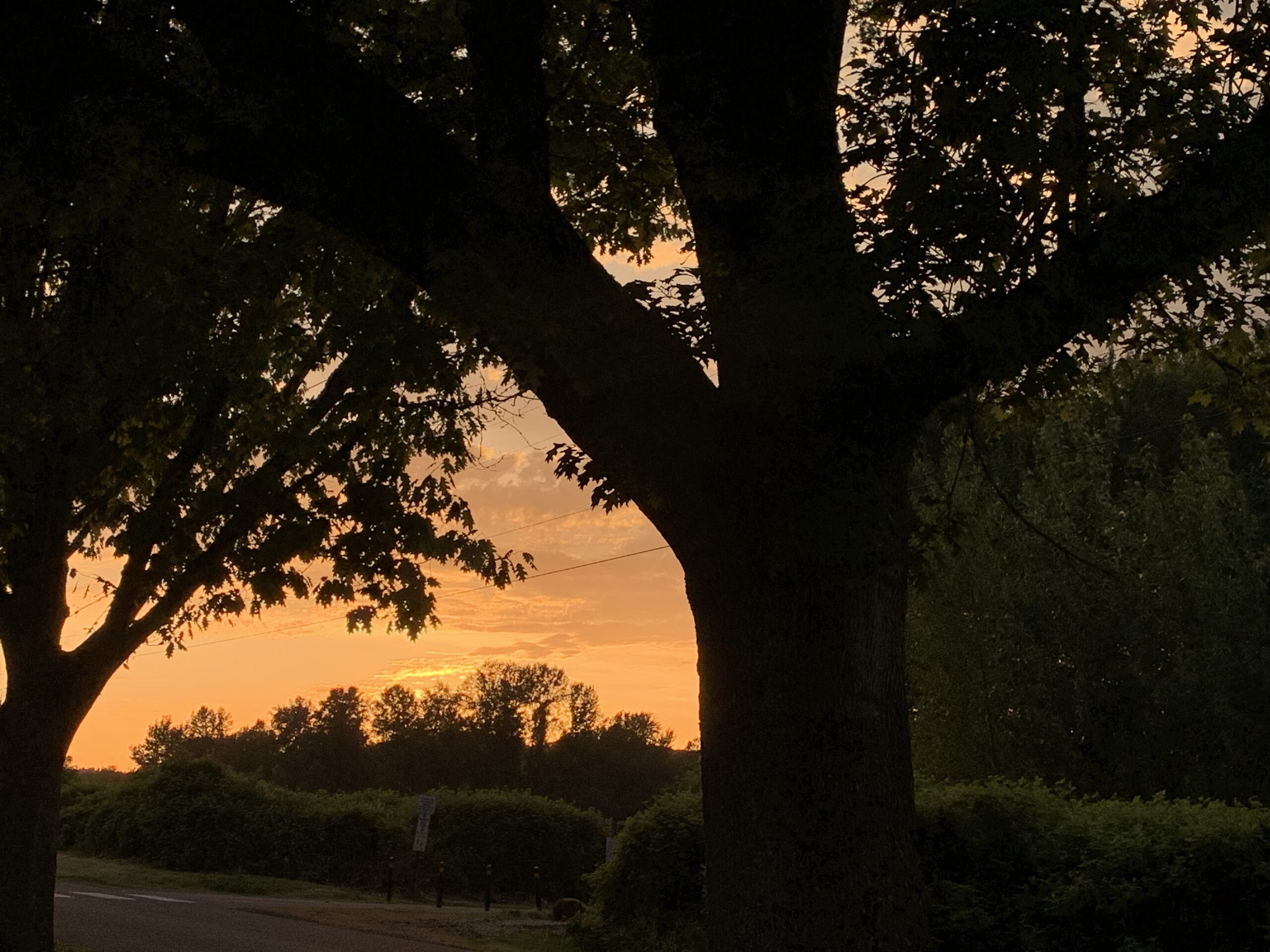Evaluating the Efficiency of Daylight Savings Time in Oregon