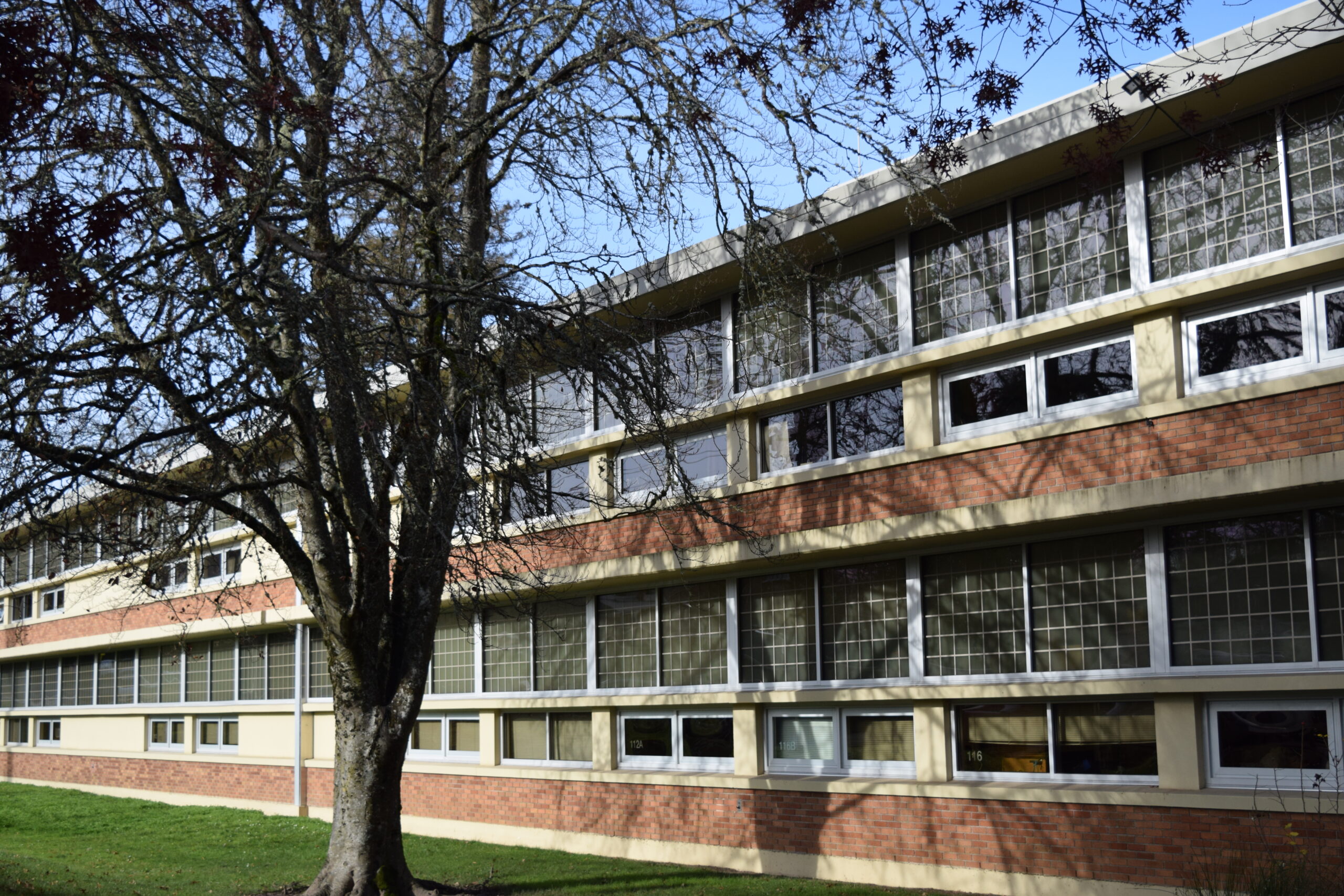South Salem Pilots New IB Program