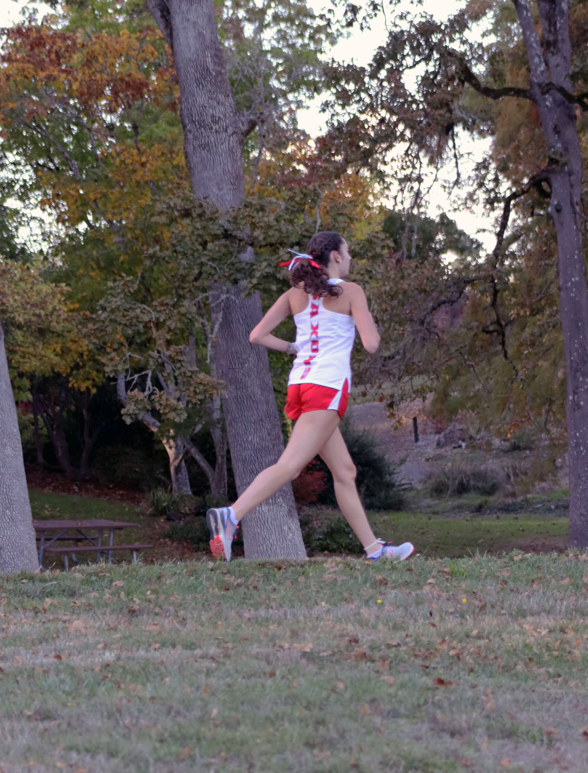 CROSS COUNTRY HIGHLIGHTS