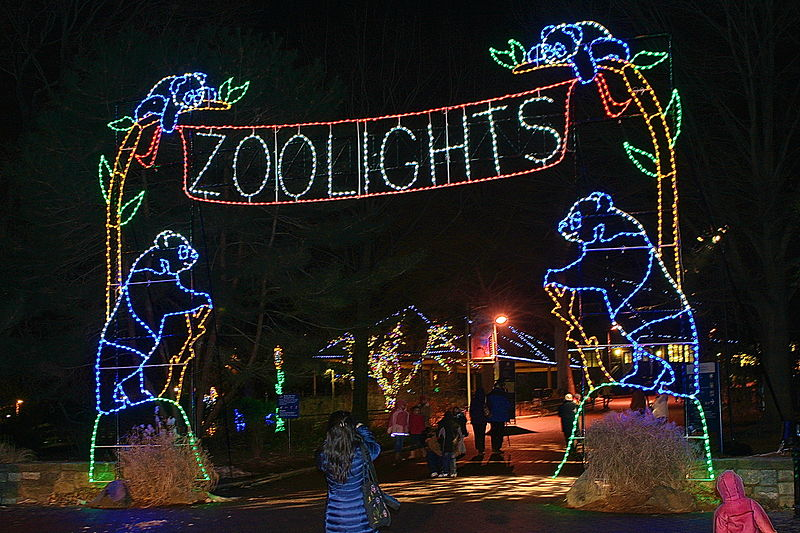 Winter Festivities Guide: Where to Get in the Spirit