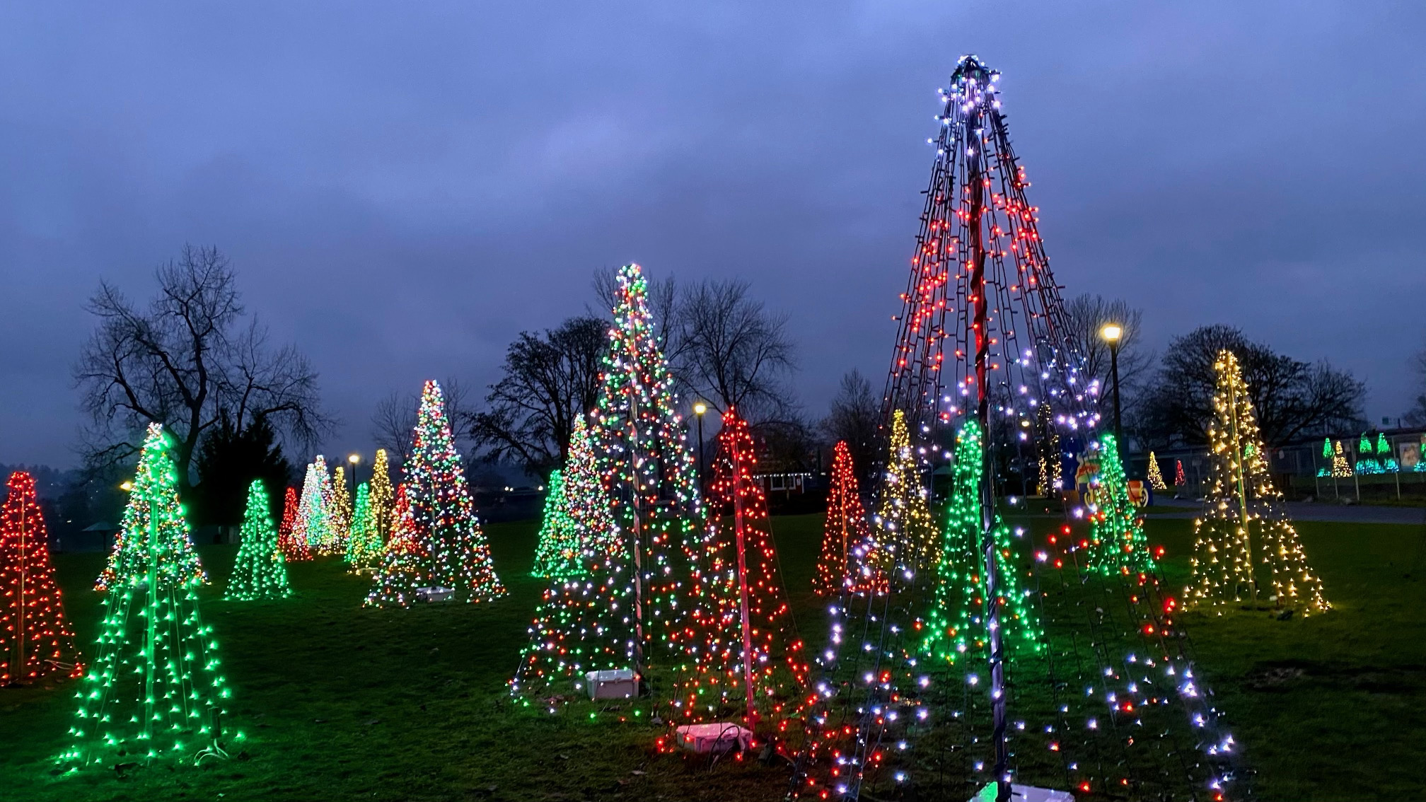 Twinkling and Enchanting the Salem Community with Holiday Magic